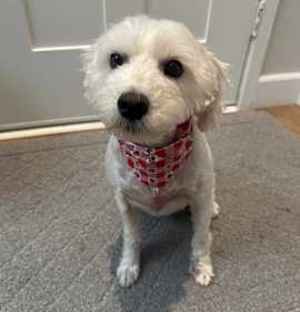 Photo of Maddie