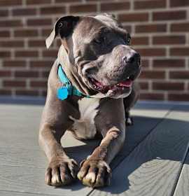 Photo of Saint *Courtesy Post*