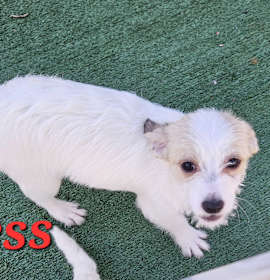 Photo of Jess