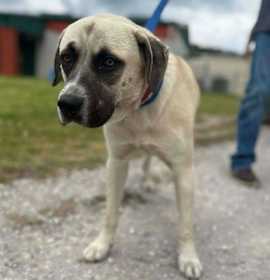 Photo of Clark 25D-063