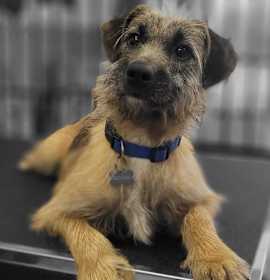 Photo of NALA
