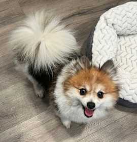 Photo of Vivian-PMRT