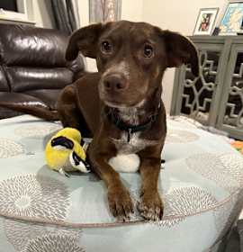Photo of Morgan