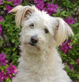 Photo of Bingo
