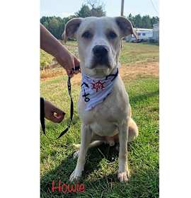 Photo of Howie