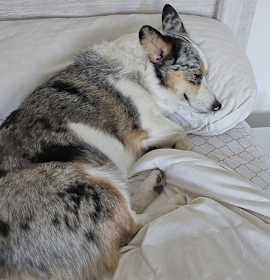 Photo of Maggie
