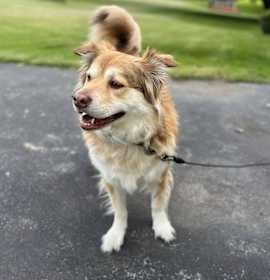 Photo of Bonnie