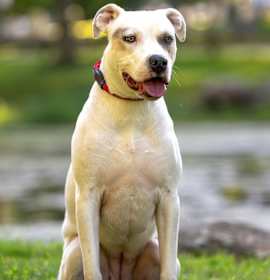 Maybelline - 25017 photo 2