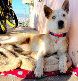 Photo of Nina