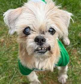 Photo of Bernadette