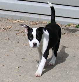 Photo of Fiona
