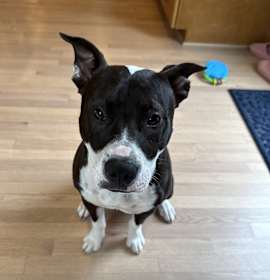 Photo of Coco