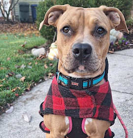 Photo of Nala (FKA Tiana)