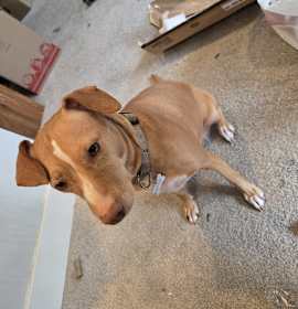 Photo of Cali