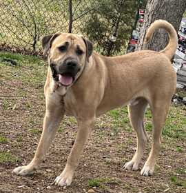 Photo of Zeke