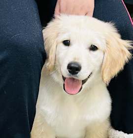 Photo of Tucker Blu