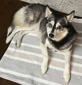 Photo of Rocket