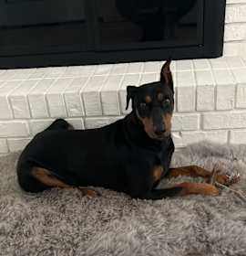Photo of Luna