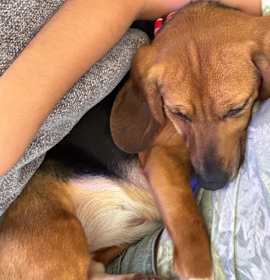Photo of Ellie