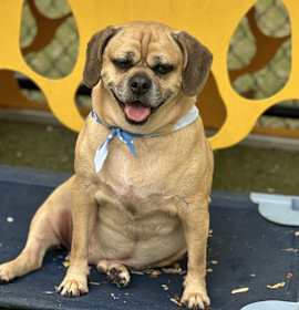 Photo of Tank