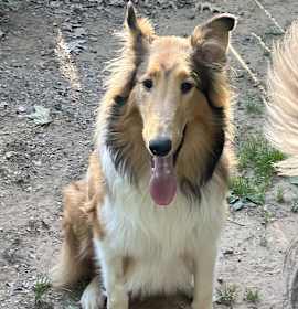Photo of Duffy