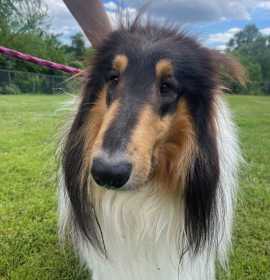 Photo of Hunter