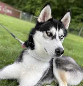 Photo of Colby