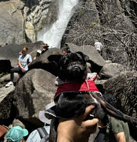 Photo of Coco