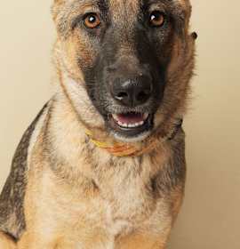 Photo of Pumpkin 6620