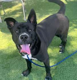 Photo of NOVA