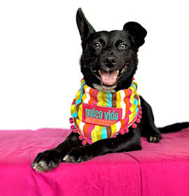 Photo of Candy