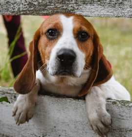 Photo of Ruthie