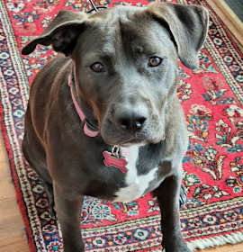 Photo of Lovely Sophie