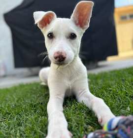 Photo of Martha Jane