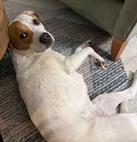 Photo of CoCo