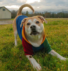 Bertie Botts photo 2