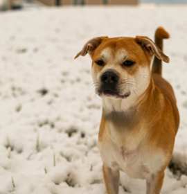 Bertie Botts photo 4