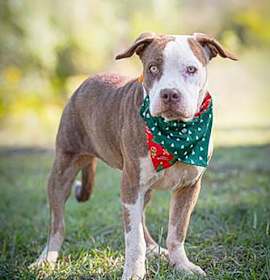 Photo of Meela
