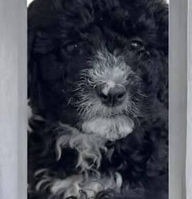 Photo of Jimmy kibble