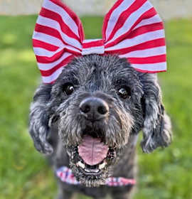 Photo of Betsy