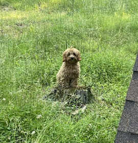 Photo of Theodore