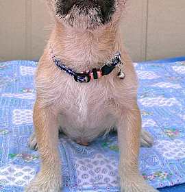 Photo of SAMPSON