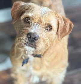 Photo of Mrs. Peach