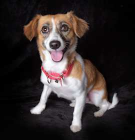 Photo of Marsha
