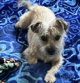 Photo of Mia