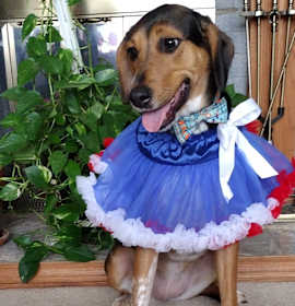 Photo of Cupcake