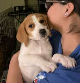 Photo of Cuddly Six Zira