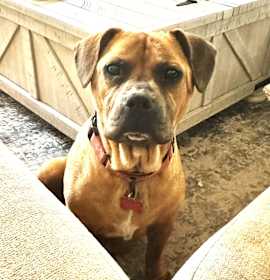 Photo of Angel