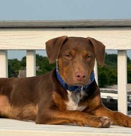 Photo of Gambit