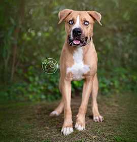 Photo of Fetti